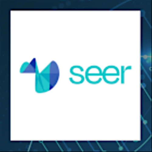 Seer Q4 Earnings Call Highlights