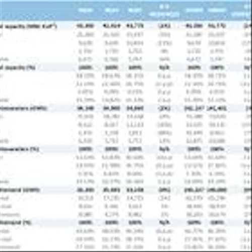 Central Puerto FY 2024 & 4Q24 Earnings Release