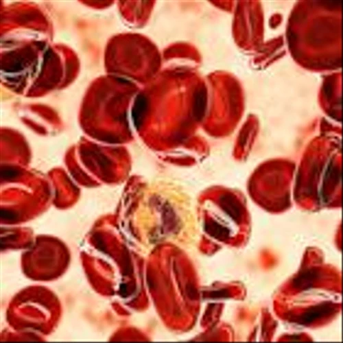 For Patients With Rare Blood Cancer, New Drug Offers Relief