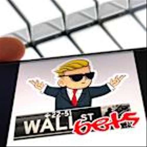 Meme stock rally has investors feeling 'invulnerable' as speculative bets power markets at record highs