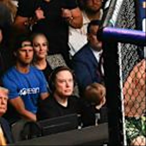 Inside the Planning for a UFC Cage Match on the White House Lawn