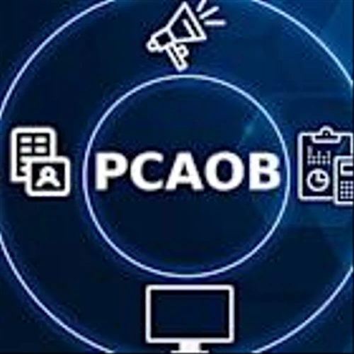 PCAOB launches audit practitioner fellowship programme