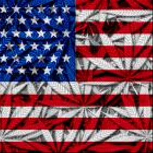 Why Marijuana Stocks Are Hopping Again on Tuesday