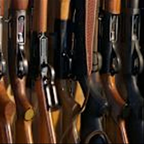 2nd Amendment Meets Amazon: GrabAGun’s Firearm Market Revolution – Initiation Report