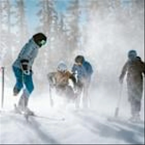 Winter Olympics Trends Small Brands Can Capitalize On