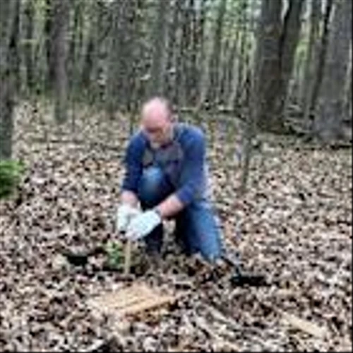 Mon Power Volunteers Plant and Donate More Than 2,700 Trees