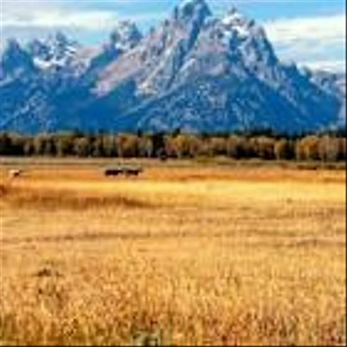 Wyoming State Buys European Bank Stocks, Adjusts Healthcare Holdings