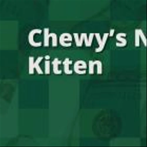 Fools Look at Chewy's Roaring Kitty Experience