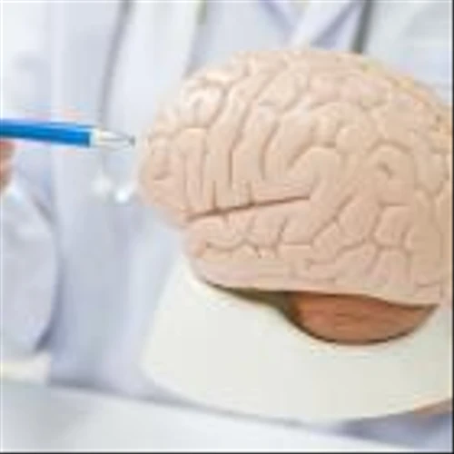 Astellas and Sangamo sign capsid deal for neurological diseases