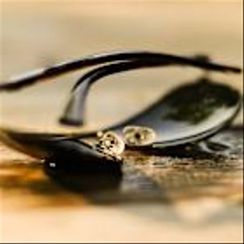 Warby Parker (WRBY) Climbs 46% Ahead of 2026 AI Development