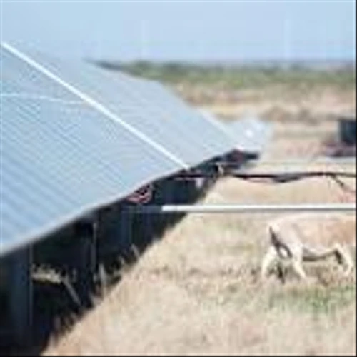 Renewable energy remains cheapest power builds as new gas plants get pricier