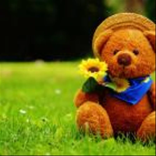 Build-A-Bear Workshop, Inc. (BBW): A Bull Case Theory