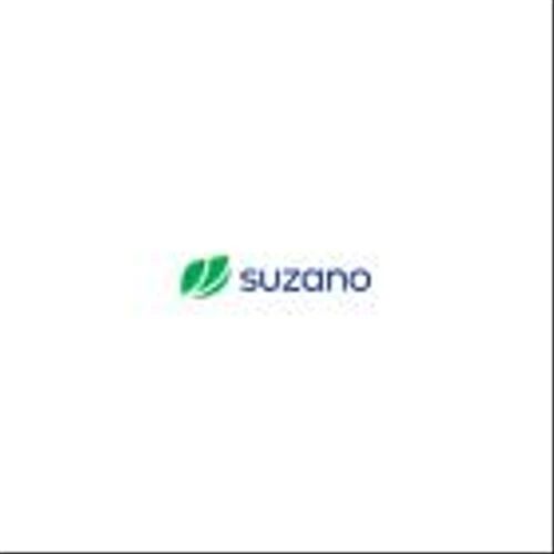 Suzano sets sales record in 2024 with new mill in Mato Grosso do Sul state and acquisition in the U.S.