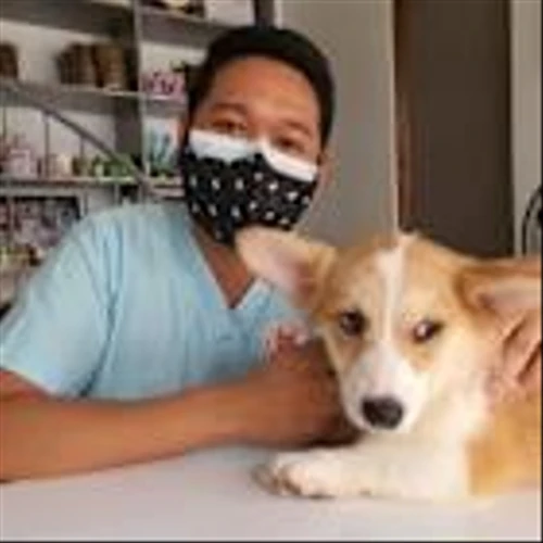 Is IDEXX Laboratories, Inc. (IDXX) A Good Stock To Buy?