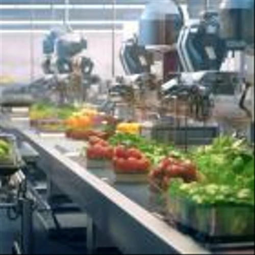 Why SunOpta, Inc. (STKL) is the Best Vegan Stock to Buy According to Analysts