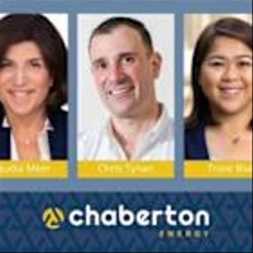 Chaberton Names New Board Members to Support Next Stage of Company Growth