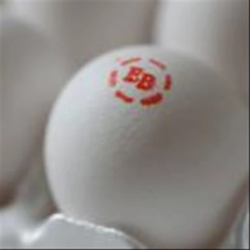 Put Some Eggs in This Stock’s Basket. It’s Time to Buy.