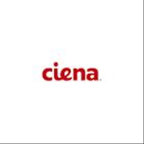 Ciena Reports Fiscal First Quarter 2025 Financial Results