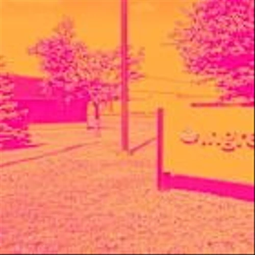 INGR Q4 Deep Dive: Clean Label and Solutions Growth Offset by Operational Challenges