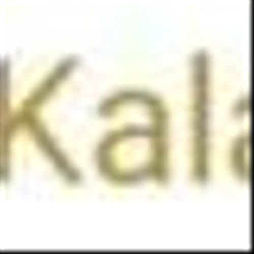 Kalaris Reports First Quarter 2025 Financial Results and Provides Business Highlights