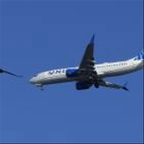 Airline execs grilled on 'junk fees' in testy Senate hearing: 'Travelers are quite simply fed up'