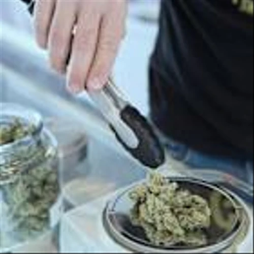 This 1 Cannabis Dividend Stock Yields 3%