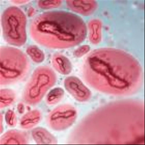 NanoViricides seeks FDA orphan status for MPox drug