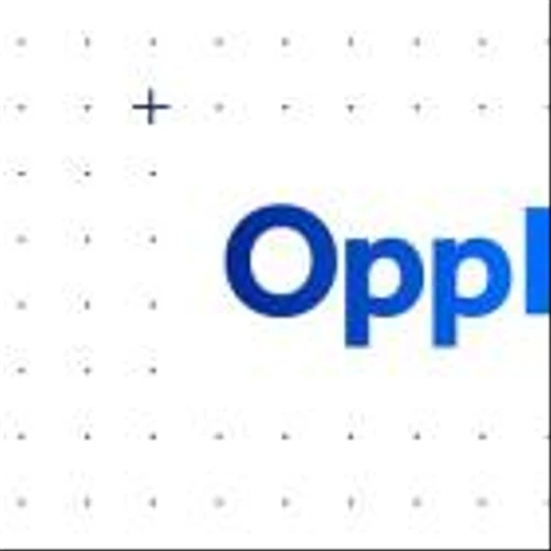 Stonegate Capital Partners Updates 3Q24 Report on OppFi, Inc. (OPFI)