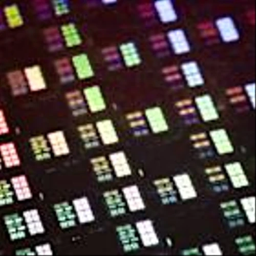 Tech, Media & Telecom Roundup: Market Talk