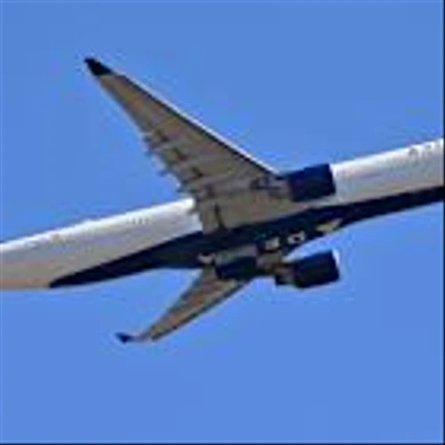 Delta Bookings Show Luxury Travel May Insulate Airlines From Gloomy Consumers’ Cost-Cutting