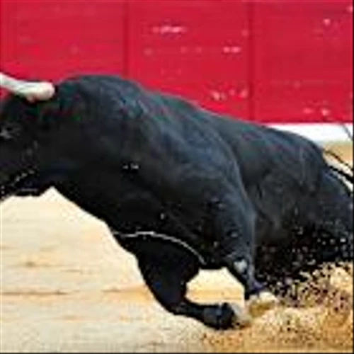 S&P 500 Stocks: These 5 Lead As Index Hits Record High