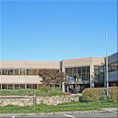 Gartner Inc (IT) Q1 2025 Earnings Call Highlights: Strong Financial Performance Amidst Federal ...