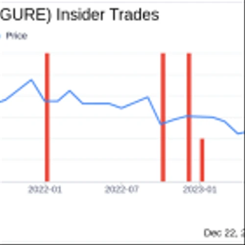 Gulf Resources Inc Insider Sells Company Shares
