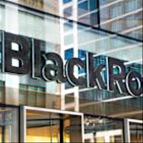 More than 200 S&P 500 companies scrubbed 'diversity' and 'equity' from annual reports in 2025