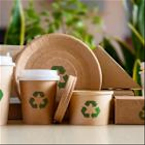 TerraSafe names Julie Crowe Willoughby as CEO