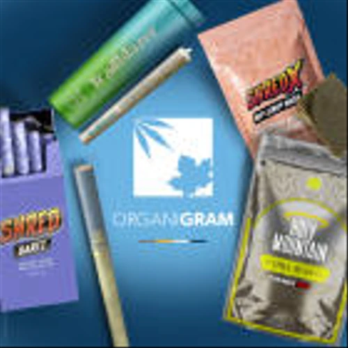 Organigram Reports First Quarter Fiscal 2024 Results