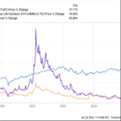 Is It Too Late to Buy Tilray Brands Stock?
