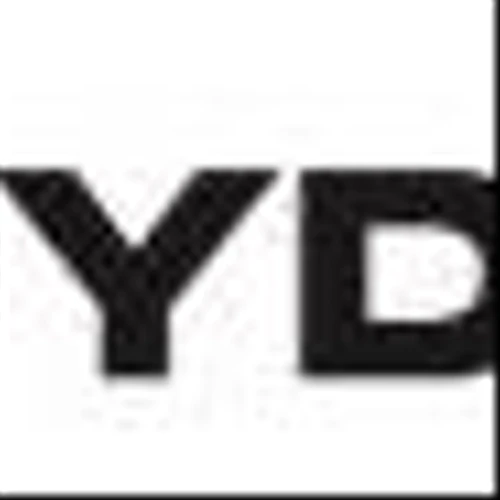 LAZYDAYS REPORTS FIRST QUARTER 2025 FINANCIAL RESULTS