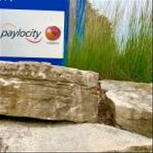 Should You Buy Paylocity Stock Despite its 7% Dip in 3 Months?