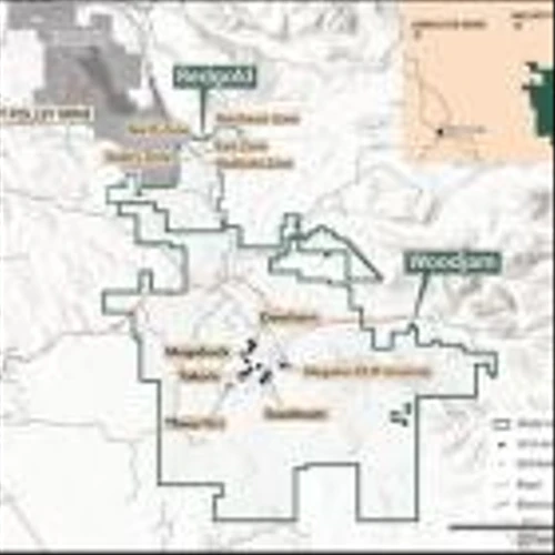 VIZSLA COPPER INTERSECTS MINERALIZED BRECCIA IN EXPLORATION DRILLING NEAR THE THREE FIRS TARGET, WOODJAM PROJECT