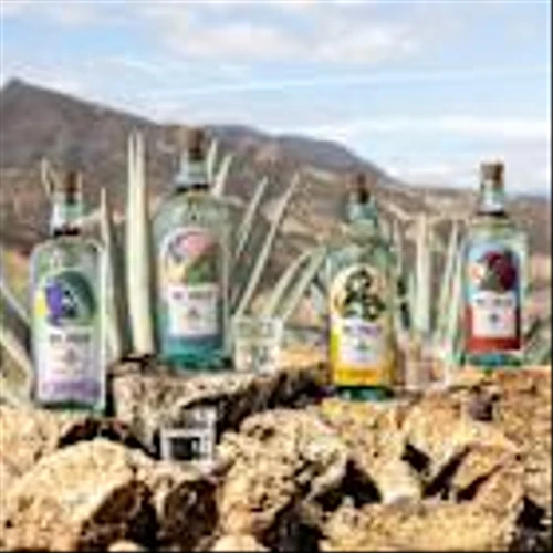 Kirker Greer Spirits debuts mezcal range in first move into agave