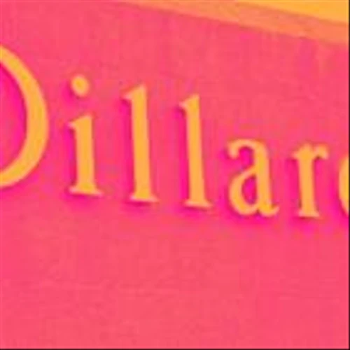Why Dillard's (DDS) Stock Is Down Today