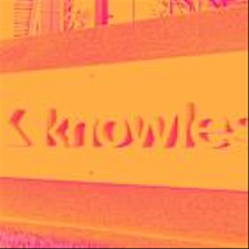 Knowles, Ingram Micro, and Zebra Shares Plummet, What You Need To Know