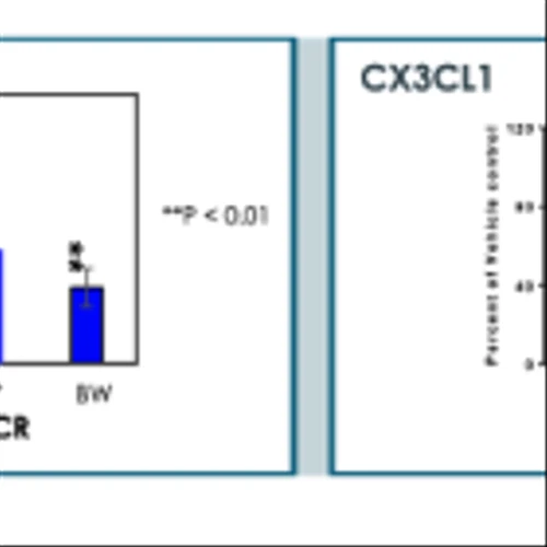 QLGN: Dosing Begins in Phase 1 Trial of QN-302…