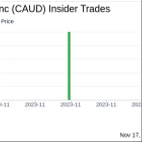 Insider Buying: CEO Brent Suen Acquires 190,000 Shares of Collective Audience Inc (CAUD)