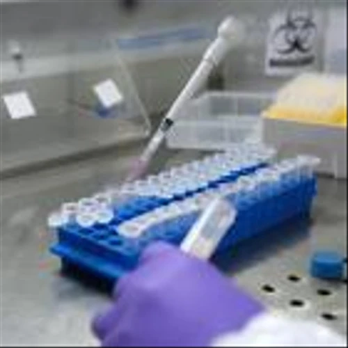 RNA-Editing Stocks Soar by Record on Wave Life’s Trial Data
