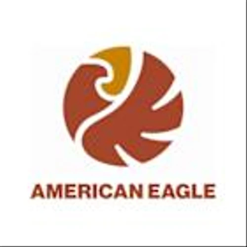 American Eagle Announces $23 Million Strategic Investment Backed by Eric Sprott