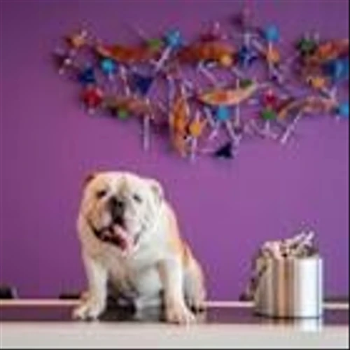 Furry Welcome: Marriott International and its pet-friendly hotels in Central and South America
