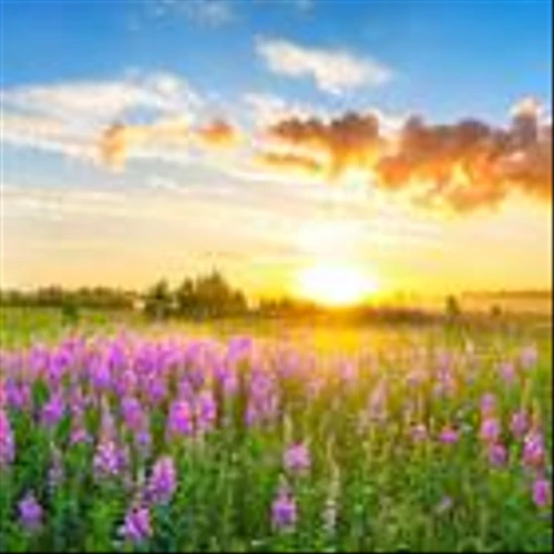 A Look At CECO Environmental (CECO) Valuation After Recent Share Price Volatility