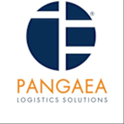 What to Expect from Pangaea Logistics Solutions Ltd (PANL) Q1 2025 Earnings